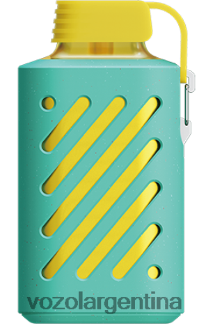 VOZOL Review - VOZOL GEAR 10000 24VRH6306 sandía frambuesa