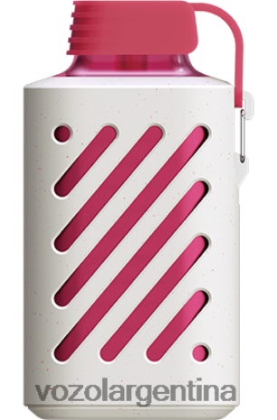 VOZOL Vape Argentina - VOZOL GEAR 10000 24VRH6301 hielo de durazno