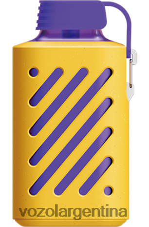 VOZOL Vape Flavors - VOZOL GEAR 10000 24VRH6299 bayas mixtas