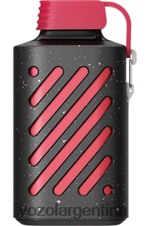 VOZOL Vape Flavors - VOZOL GEAR 10000 24VRH6309 frambuesa fresa