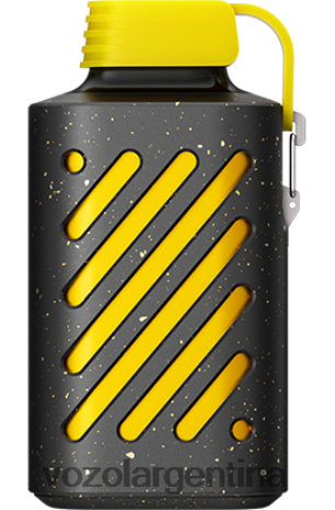 VOZOL Vape Sale - VOZOL GEAR 10000 24VRH6295 kiwi maracuyá guayaba
