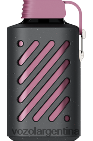 VOZOL Vape - VOZOL GEAR 10000 24VRH6300 maracuyá frambuesa mandarina