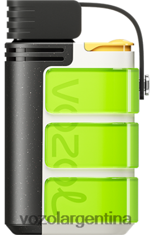 VOZOL Vape Flavors - VOZOL GEAR 4000c/6000 24VRH6319 verde lima