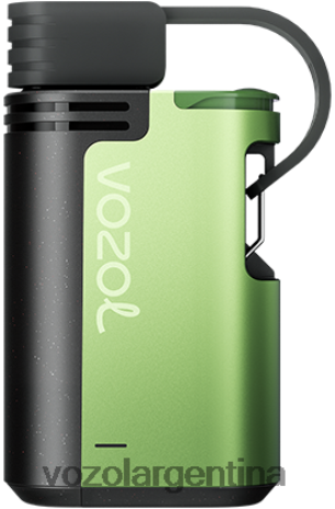 VOZOL Vape Flavors - VOZOL GEAR 4000c/6000 24VRH6329 hielo de sandia