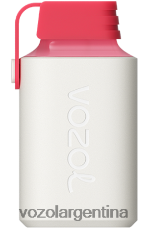VOZOL Vape Buy - VOZOL GEAR 600 24VRH6358 fresa frambuesa cereza