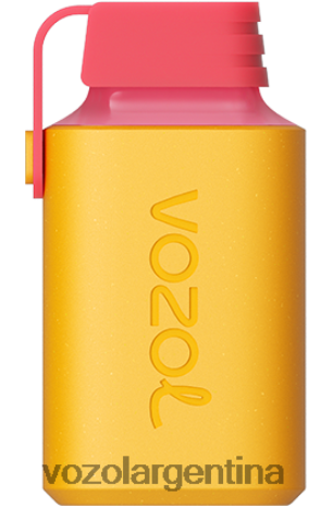 VOZOL Vape Flavors - VOZOL GEAR 600 24VRH6349 tabaco crema