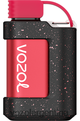 VOZOL Review - VOZOL GEAR 7000 24VRH6336 lichi guayaba sandía