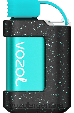 VOZOL Vape Argentina - VOZOL GEAR 7000 24VRH6331 limón razz azul
