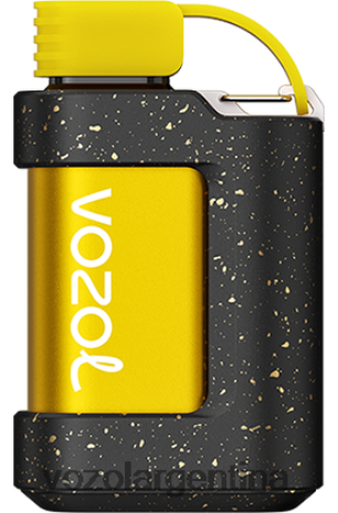 VOZOL Vape Precio - VOZOL GEAR 7000 24VRH6334 tabaco gran maestro