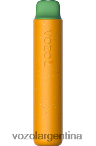 VOZOL Review - VOZOL STAR 2000 24VRH6156 pájaro de la selva