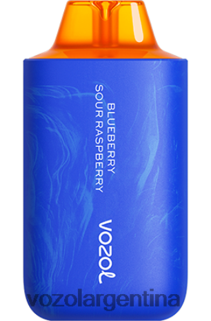 VOZOL Review - VOZOL STAR 6000/8000v2 24VRH656 arándano frambuesa agria
