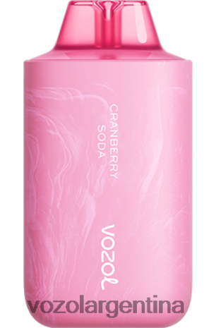 VOZOL Vape Buy - VOZOL STAR 6000/8000v2 24VRH658 refresco de arándano