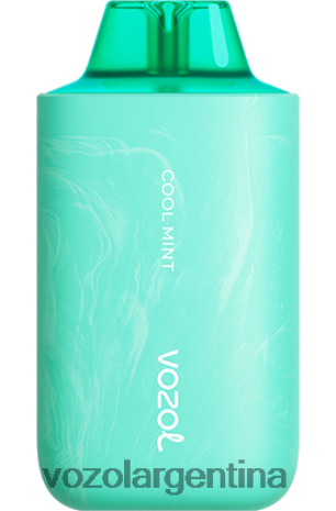 VOZOL Vape Store - VOZOL STAR 6000/8000v2 24VRH657 menta fresca