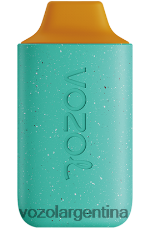 VOZOL Argentina - VOZOL STAR 6000 24VRH6102 pomelo de cedro