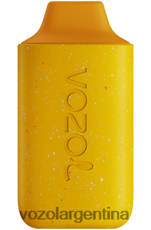 VOZOL Vape Flavors - VOZOL STAR 6000 24VRH6119 mango durazno piña