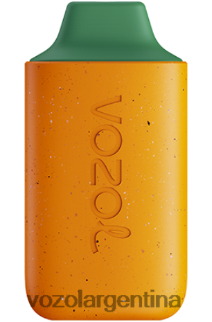 VOZOL Vape Sale - VOZOL STAR 6000 24VRH6115 kiwi guayaba maracuyá
