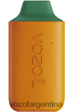 VOZOL Vape - VOZOL STAR 6000 24VRH6120 sandia mango durazno