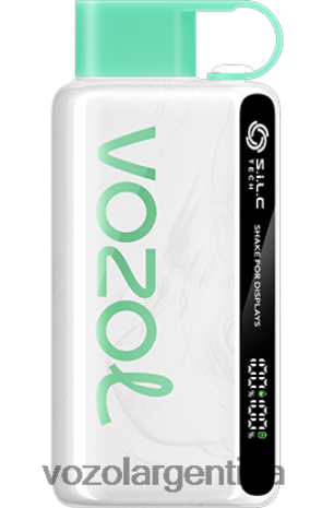VOZOL Buenos Aires - VOZOL STAR 9000/12000 24VRH643 menta Limón