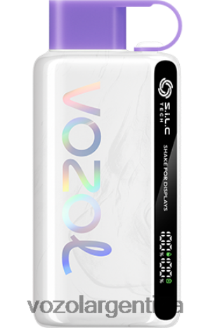 VOZOL Review - VOZOL STAR 9000/12000 24VRH626 bayas mixtas