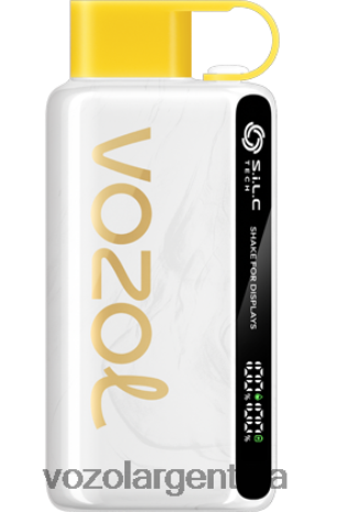 VOZOL Review - VOZOL STAR 9000/12000 24VRH646 hielo de piña y coco