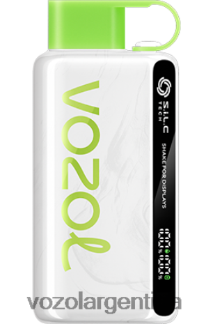 VOZOL Vape Argentina - VOZOL STAR 9000/12000 24VRH631 kiwi fresa