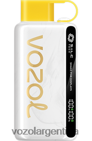 VOZOL Vape Sale - VOZOL STAR 9000/12000 24VRH625 kiwi maracuyá guayaba