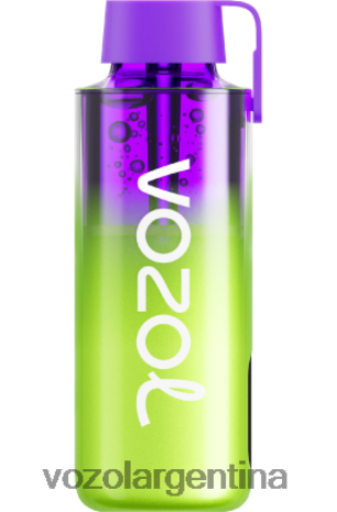 VOZOL Vape Argentina - VOZOL NEON 10000 24VRH6241 hielo de sandia