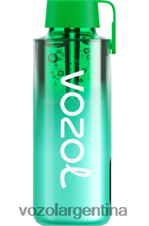 VOZOL Vape Flavors - VOZOL NEON 10000 24VRH6229 menta de miami