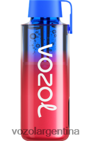 VOZOL Vape Flavors - VOZOL NEON 10000 24VRH6239 sandia fresa