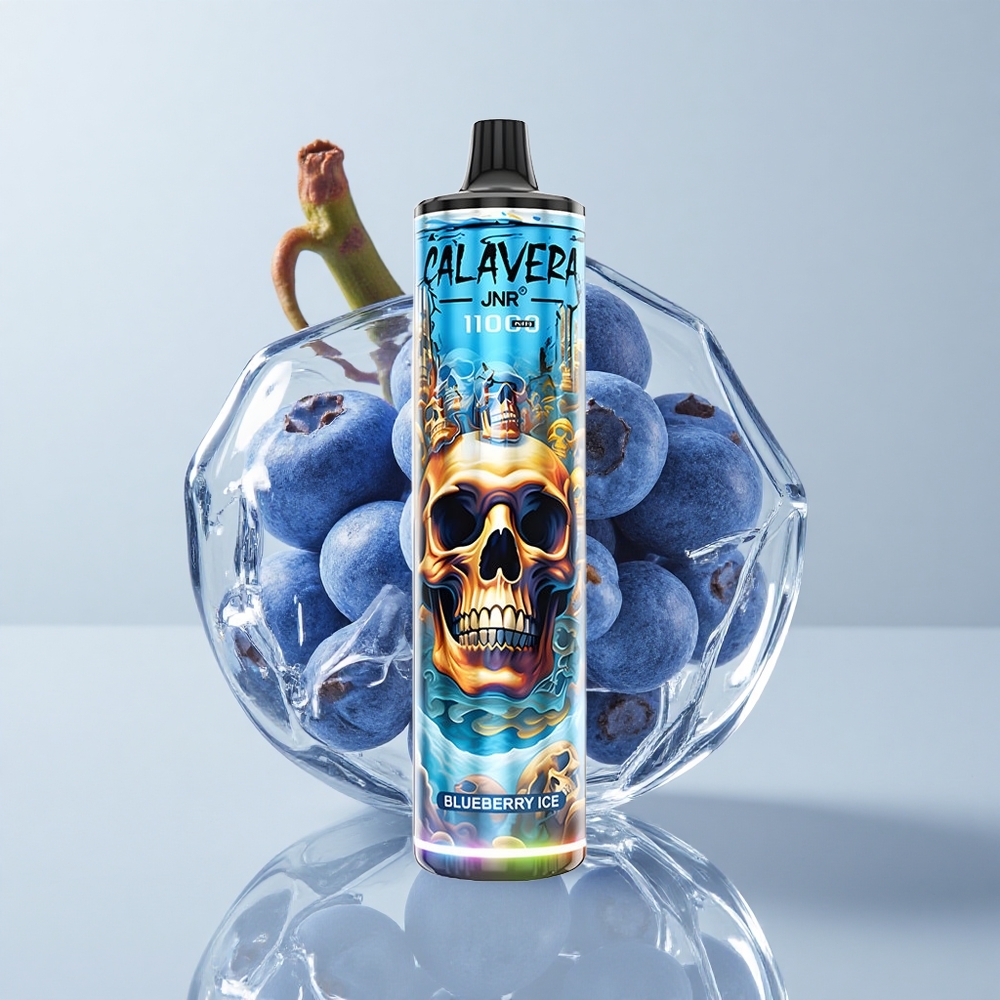JNR Calavera 11000 Puffs Vape Disposable Arándano Hielo 850mAh 21ml