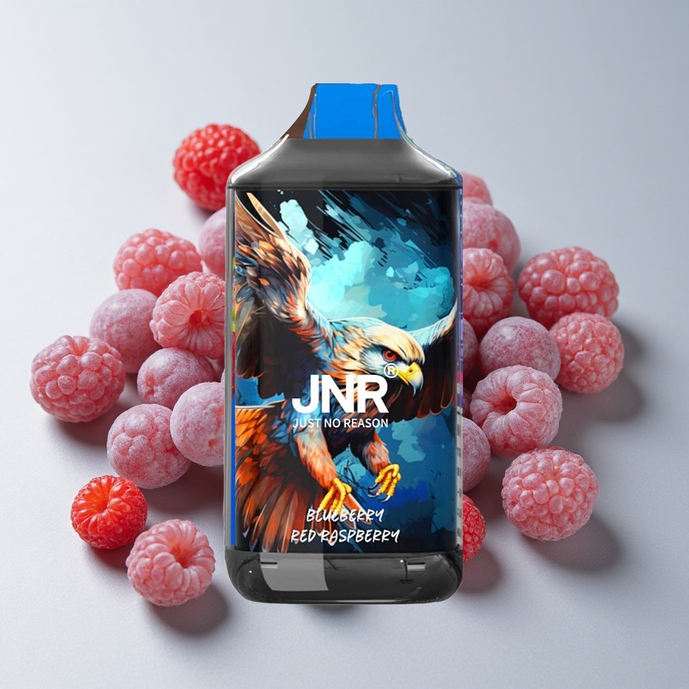 JNR Falcon 16000 Puffs Arándano Azul Frambuesa Roja 22ml 0% 2% Nicotina