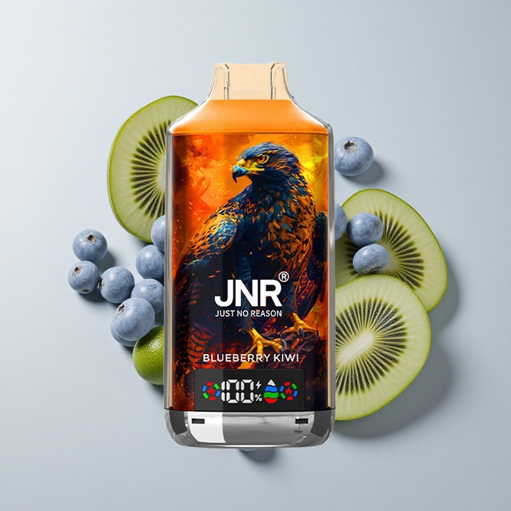 JNR Falcon X 18000 Puffs Vape Arándano Kiwi 24ml Tipo-C