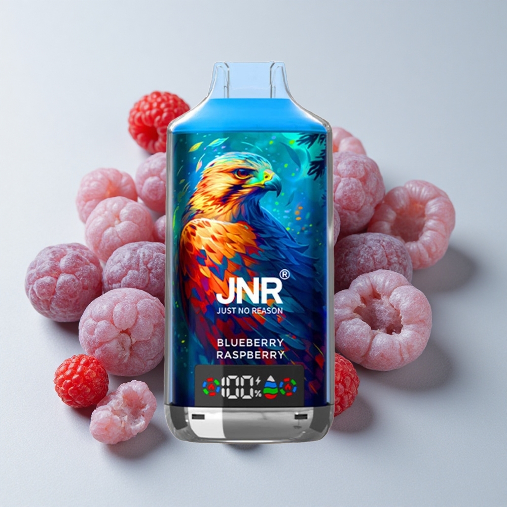 JNR Falcon X 18000 Puffs Vape Disposable Arándano Frambuesa Dual Mesh