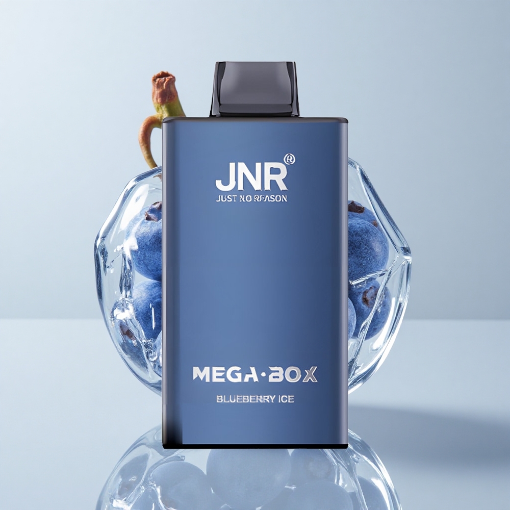 JNR Mega Box 25000 Puffs Vape Desechable Arándano Hielo 30ml