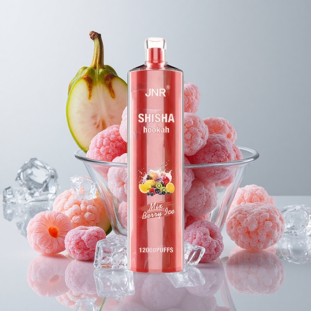 JNR Shisha Hookah 12000 Puffs Baya Hielo 24ml Tipo-C