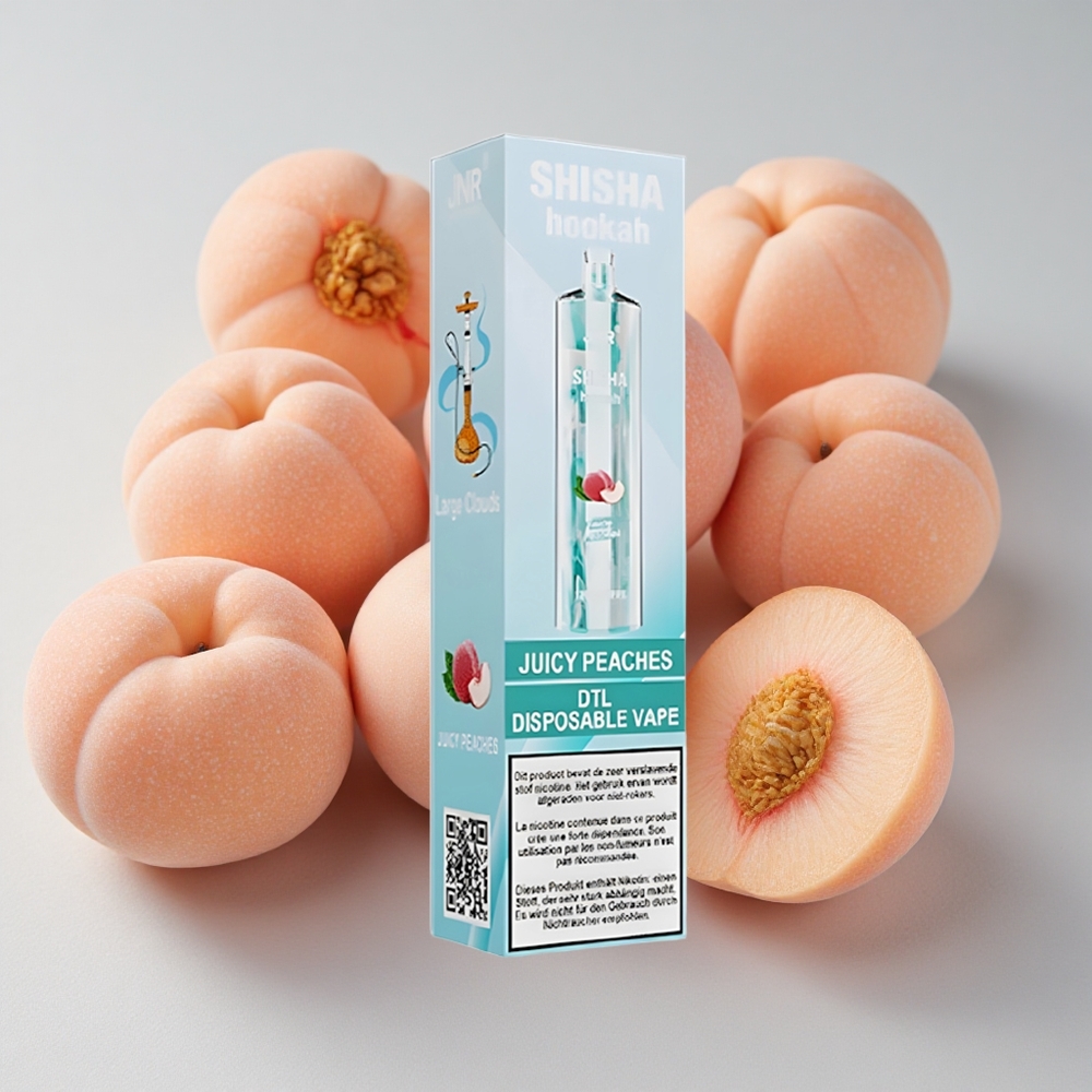 JNR Shisha Hookah 12000 Puffs Duraznos Jugosos Tipo-C Carga Rápida