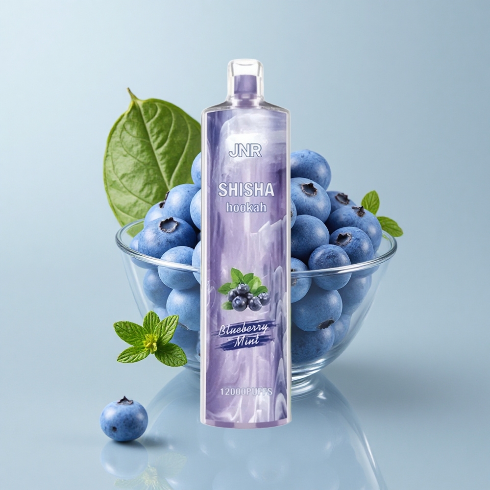JNR Shisha Hookah 12000 Puffs Menta Arándano Azul Tipo-C Carga Rápida