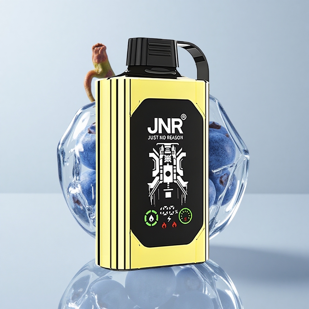 JNR Shisha Hookah Box 20500 Puffs Helado de Arándano HD Dual Mesh