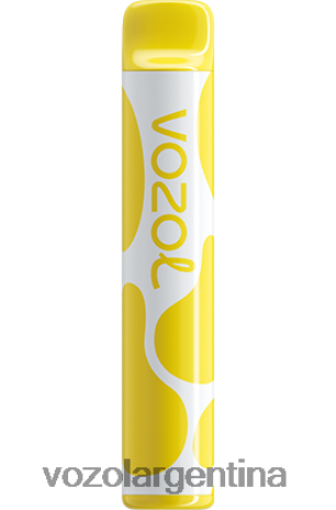 VOZOL Buenos Aires - VOZOL JOYGO 600 24VRH6393 tabaco crema de vainilla