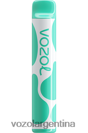VOZOL Vape Store - VOZOL JOYGO 600 24VRH6387 mentol