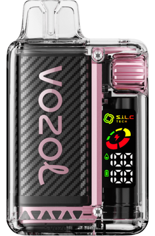 VOZOL Argentina - VOZOL VISTA 16000/20000 24VRH612 sandia mango durazno